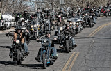 Easy Riders 