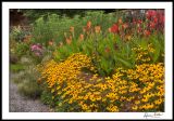 Biltmore Garden Selection