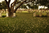 IMG_6394 - British Military Cemetery in Jerusalem