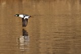 IMG_8688.jpg