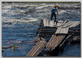 Catching Whitefish - Sik -Siika