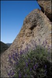 Pinnacles National Monument