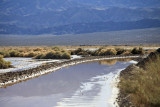 Flooded Saratoga Springs road in Death Valley