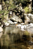 Sugarloaf creek campground