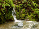 Sugarloaf falls into creek