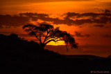 1DX_4471 - Sunset in Africa
