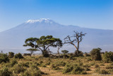 M4_10791 - Mt. Kilimanjaro, Tanzania