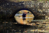 Canals at the lake