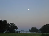 Moon Set