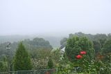 Foggy Sunday Morning