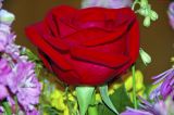 Rose Blossom Boquet