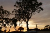 Cudmirrah - Sunset at the campsite