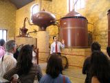 Tio Pepe Sherry Winery Tour - Jerez