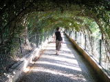 Alhambra-Generalife garden