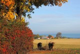 Autumn on Bornholm