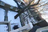 Backyard from third floor balcony - second floor balcony below