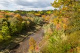 Lions Valley
