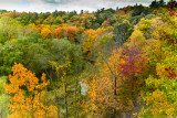 Lions Valley