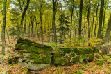 Dundas Conservation Area