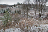 First snowfall