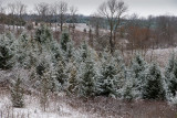 First snowfall
