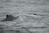 IMG_4722.JPG