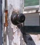 Old Greenhouse Door.JPG