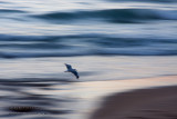 20130209_28089 Motion (Sat 09 Feb)