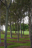 20130309_29016 Return To The Old Stamping Grounds (Sat 09 Mar)