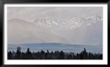 DSC_0180.jpg