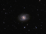 NGC3351 (M95) Crop