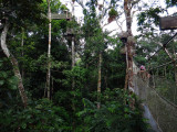 Canopy Walk