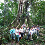 At the big ficus