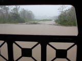 Rainy day in the flooded forest