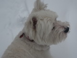 JE DECOUVRE QUE TOUT EST BLANC
