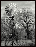 Oaky Windmill on Roundabout Road.jpg