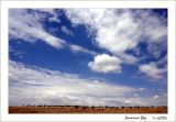 Savanna Sky