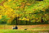 Photographers In High Park