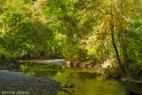 Ernest Thompson Seton Park