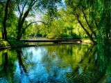 Toronto Islands