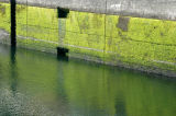 Hiram Chittenden Locks, Seattle