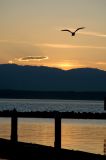 Sunset at Port of Seattle, WA