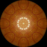 sarmin1359b_Orange Tapestry_Sarracenia Minor