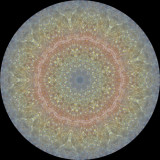 troutrnbw9045de_Outward In_Rainbow Trout