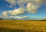 field and clouds 1.jpg
