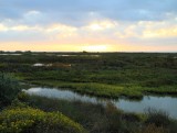IMG_9869.jpg
