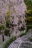 Taizo-in Temple at Kyoto