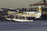 _DX_1029.JPG