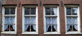 IMGP1032.jpg