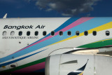 BANGKOK AIR AIRBUS A319 HBA RF IMG_7314.jpg